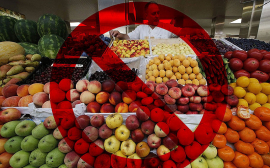 61 тонна зараженных овощей и фруктов была запрещена для ввоза в Казахстан