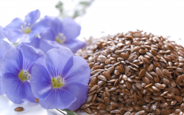 Еще 78 предприятий Казахстана получили право на экспорт семян льна в Китай