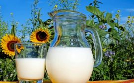 В Казахстане ежегодно хотят открывать около 35 молочных ферм