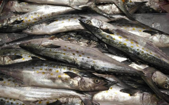 В Казахстане планируют вырастить 270 тысяч тонн рыбы к 2030 году