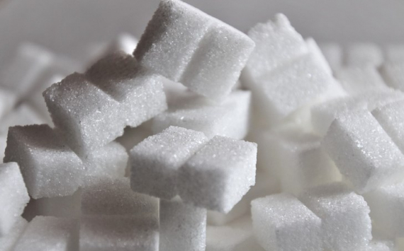 Кузиев: В Казахстане не работает программа развития сахарной отрасли