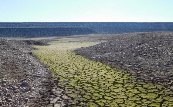 В Казахстане пролонгируют долги по кредитам пострадавшим от засухи аграриям