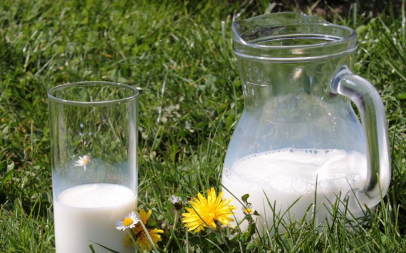 В Казахстане аграриям предоставят кредиты на строительство молочных ферм