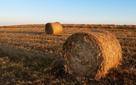 Токаев рассказал о перспективах Казахстана и РФ в сельском хозяйстве