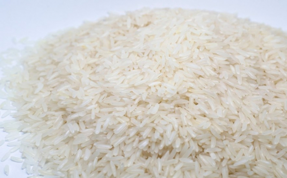 В Казахстане производство риса сократилось на 10%