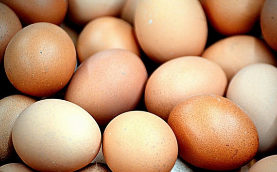 Власти Казахстана держат ситуацию с яйцом под контролем