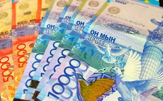 В Сенате обсудили эффективность расходования средств Нацфонда